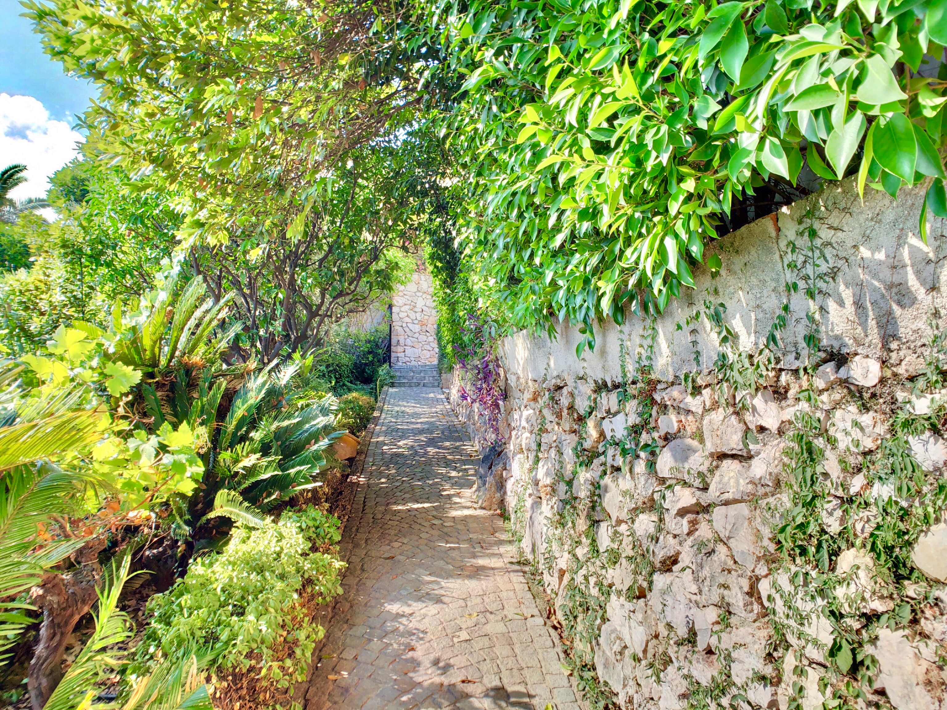 Villa de 300m² avec vue panoramique sur Monaco - Roquebrune-Cap-Martin 14
