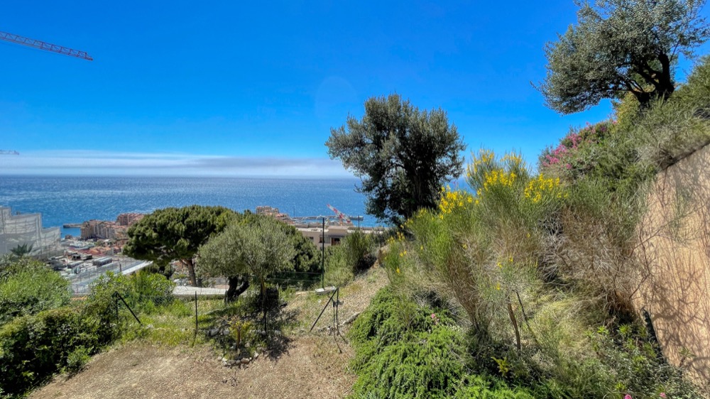 3 pièces Cap D'Ail Vue Mer