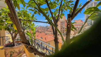 Appartement d'angle de 3 chambres à Beausoleil, proche de Monaco 15
