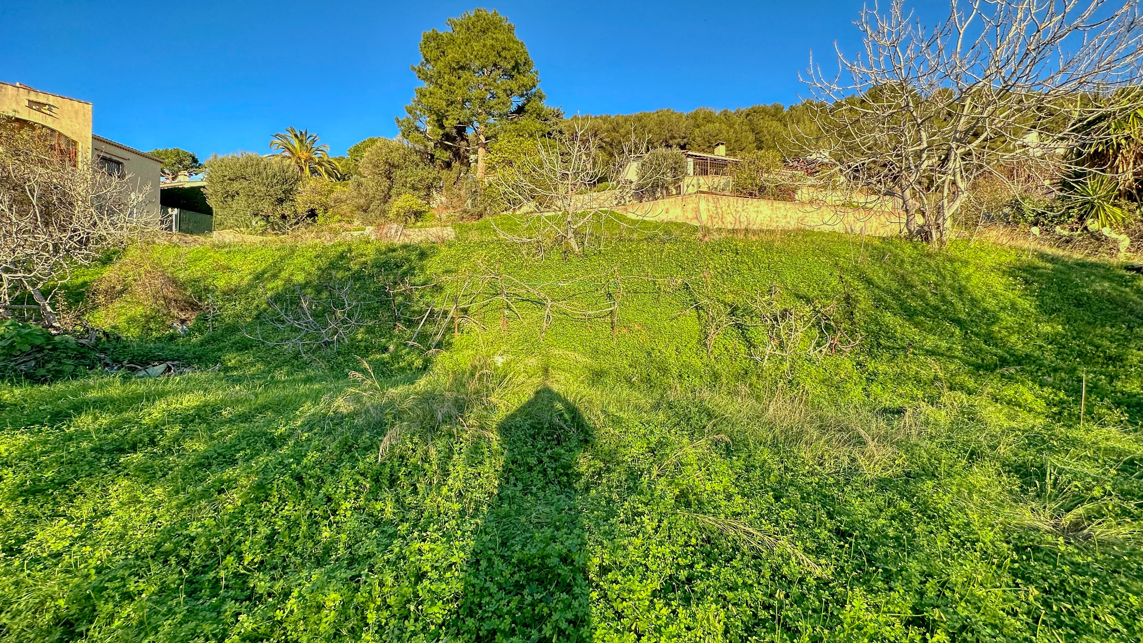 Magnifico terreno di 1100m2 4