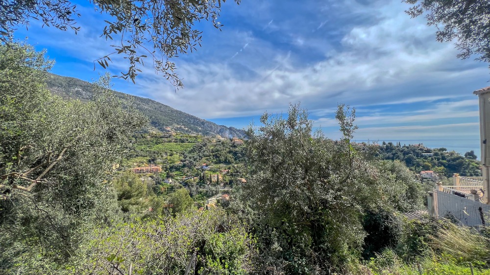 appartement en duplex avec une belle vue et un grand terrain dans une maison partagée