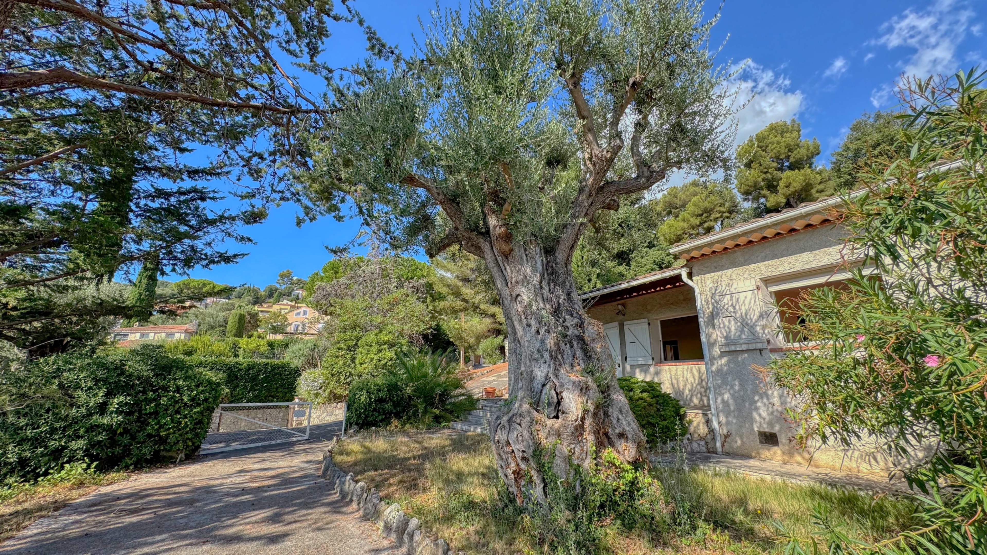 Proprietà con vista mare e due ville da ristrutturare – Roquebrune Cap Martin 4