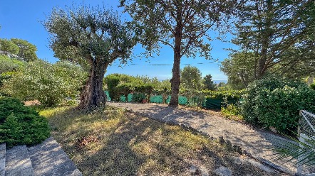 Proprietà con vista mare e due ville da ristrutturare – Roquebrune Cap Martin 17