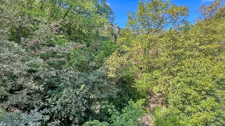 Grand studio rénové avec terrasse vue mer et montagne – Gorbio 10